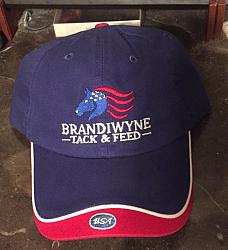 Brandiwyne Patriotic Hat