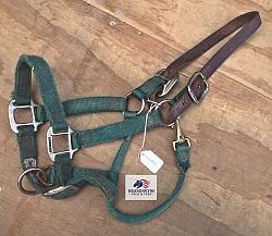 Used Green Turnout Halter