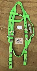 Lime Green One-ear Headstall w/ TX Star conchos