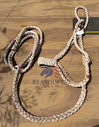 Used Special C Muletape Halter & Lead